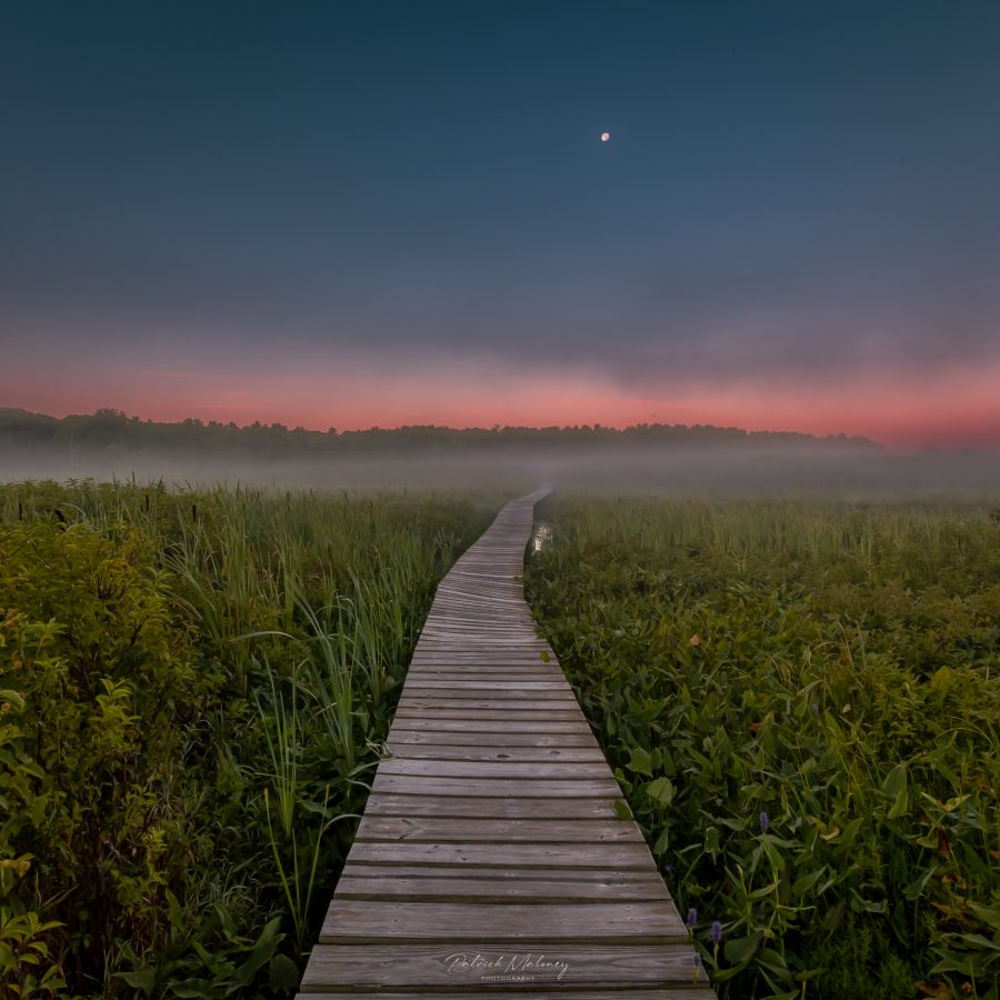 Little Pond Boardwalk Trail Litchfield, Connecticut GoXplr